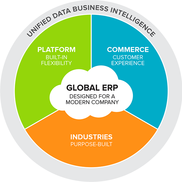NetSuite Global ERP, business intelligence, netsuite