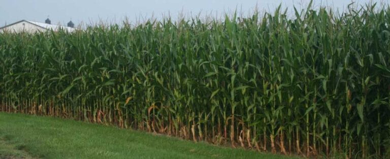 Agro-Culture Liquid Fertilizer, ACLF, Oracle, terillium, JD Edwards, JD Edwards EnterpriseOne, ERP
